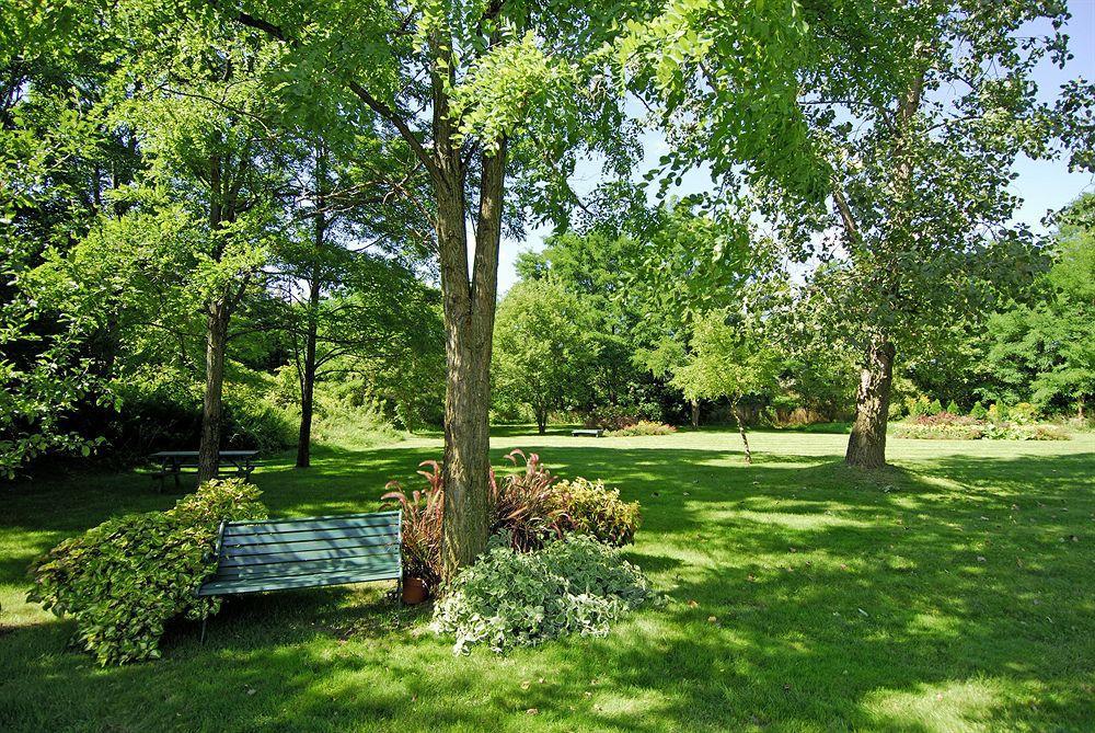 Comfort Inn Simcoe Exteriör bild